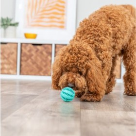 Дентална кучешка играчка Trixie Denta Fun ball топка от термопластична гума с аромат на мента 5 см